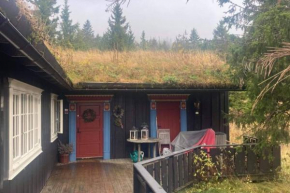 Grand cabin with sauna, annex, ski inout Hafjell